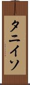 タニイソ Scroll