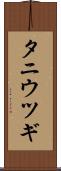 タニウツギ Scroll