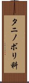 タニノボリ科 Scroll