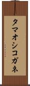 タマオシコガネ Scroll