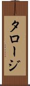 タロージ Scroll