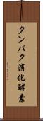 タンパク消化酵素 Scroll