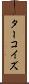 ターコイズ Scroll