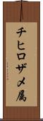 チヒロザメ属 Scroll