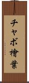 チャボ檜葉 Scroll
