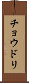 チョウドリ Scroll