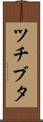 ツチブタ Scroll