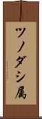 ツノダシ属 Scroll