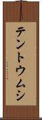 テントウムシ Scroll
