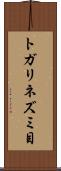 トガリネズミ目 Scroll
