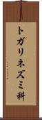 トガリネズミ科 Scroll