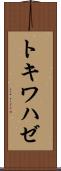 トキワハゼ Scroll