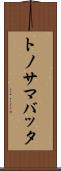 トノサマバッタ Scroll