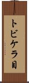 トビケラ目 Scroll