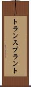 トランスプラント Scroll