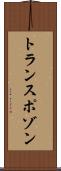 トランスポゾン Scroll