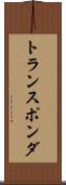 トランスポンダ Scroll