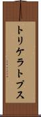 トリケラトプス Scroll