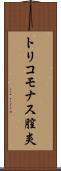 トリコモナス膣炎 Scroll