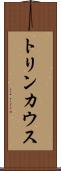 トリンカウス Scroll