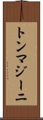 トンマジーニ Scroll