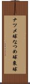 ナツメ球 Scroll