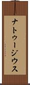ナトゥージウス Scroll