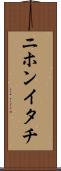 ニホンイタチ Scroll