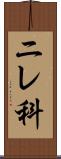 ニレ科 Scroll