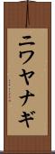 ニワヤナギ Scroll