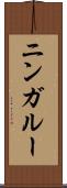 ニンガルー Scroll