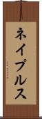 ネイプルス Scroll