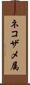 ネコザメ属 Scroll