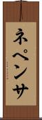 ネペンサ Scroll