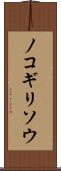 ノコギリソウ Scroll