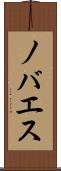 ノバエス Scroll