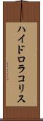 ハイドロラコリス Scroll