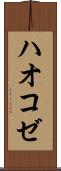 ハオコゼ Scroll