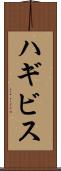 ハギビス Scroll
