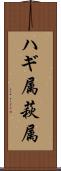ハギ属 Scroll