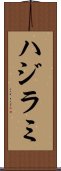 ハジラミ Scroll