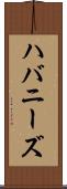 ハバニーズ Scroll