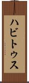 ハビトゥス Scroll