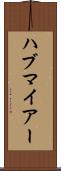ハブマイアー Scroll