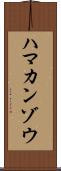 ハマカンゾウ Scroll