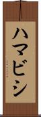 ハマビシ Scroll