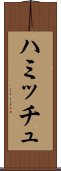 ハミッチュ Scroll