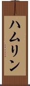 ハムリン Scroll