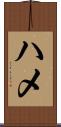ハメ Scroll