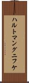 ハルトマングニフケ Scroll